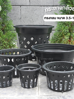 กระถางกล้วยไม้ ทรงกลม ขนาด 1-11 นิ้ว (ขายส่ง)