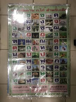 โปสเตอร์การศึกษาใหญ่ (ราคาต่อโหล)