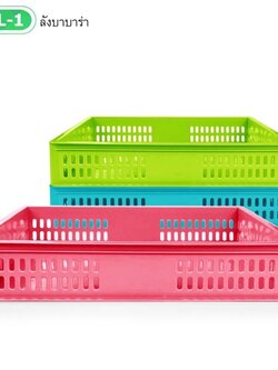 ลังบาบาร่า P539-L-1 (ราคาต่อโหล)