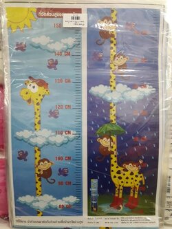 ที่วัดส่วนสูง (ราคาต่อโหล)