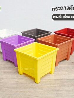 กระถางต้นไม้ ทรงสี่เหลี่ยม ขนาด 4 นิ้ว