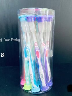 แปรงสีฟันผู้ใหญ่ Swan Freshly (ราคาต่อโหล)