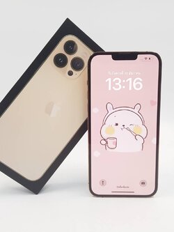 iPhone 13 Pro Max 256GB Gold 📣มาแล้ว 13 PM #ศูนย์ไทย #ราคาสุดคุ้ม 📣