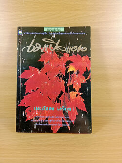 เมเปิลแดง