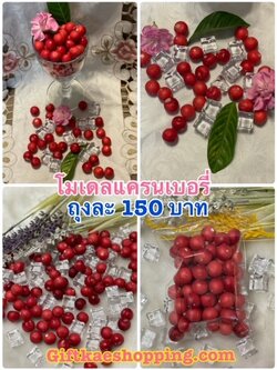 แครนเบอรี่ปลอม (ขายยก 1 ถุง)