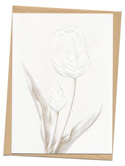 การ์ดอวยพร ปั๊มนูนรูปดอกไม้ สกรีนสีทอง มีให้เลือก 5 แบบ