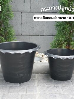 กระถางบัว