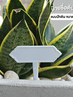 ป้ายชื่อต้นไม้ แบบปัก ขนาดเล็ก