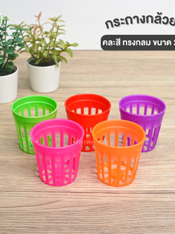 กระถางกล้วยไม้ ทรงกลม คละสี ขนาด 2 นิ้ว