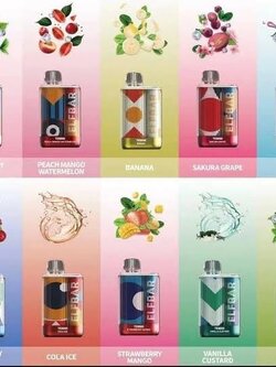 Elf Bar TE 6000 Puffs