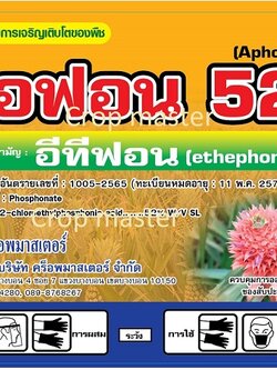เอฟอน 52 บรรจุ 20 ลิตร : สาร อีทีฟอน52%: เร่งการออกดอกในสับปะรด , เร่งการสุกของกล้วยหอม ทุเรียน องุ่น