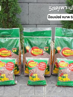 ป๊อบเปอร์