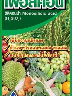 เฟอลิคอน : 1 กิโลกรัม ธาตุซิลิคอนน้ำ ลดปัญหาการขาดน้ำในพืช ทนแล้ง เพิ่มความแข็งแรง ต้านทานโรคและแมลง ปรับสภาพดิน