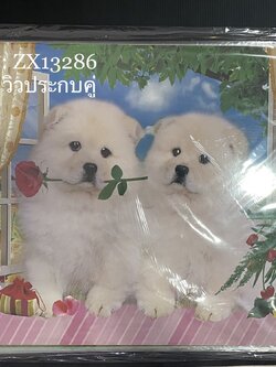 โปสเตอร์วิวเดี่ยวใส่ถุง (ราคาต่อโหล)