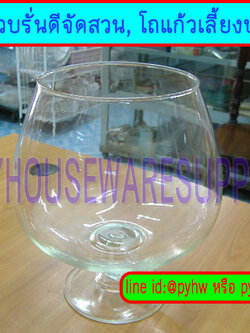 แก้วบรั่นดีจัดสวนขนาดใหญ่ขนาด 6.5 นิ้ว ,แก้วไวน์จัดสวน,แก้วจัดสวนมีก้านจัดสวนเลี้ยงปลาทอง,แก้วไวน์น้ำยักษ์,ถ้วยแก้วเลี้ยงแมลง,แชมเปญยักษ์จัดสวน