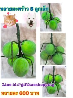 มะพร้าวปลอม (โมเดลทลายมะพร้าว ลูกเล็ก)