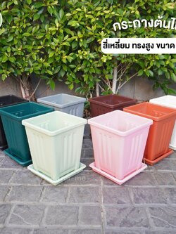 กระถางต้นไม้ สี่เหลี่ยม ทรงสูง ขนาด 7 นิ้ว ขายปลีก
