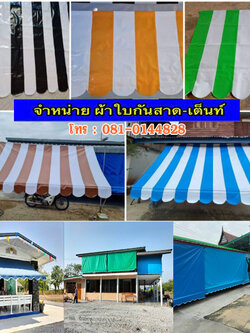 ผ้าใบชักรอกฝีมือยอดเยี่ยมประจำปี 2023-2024