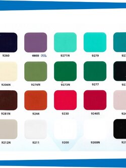 สีผสมเรซิ่น VIGA