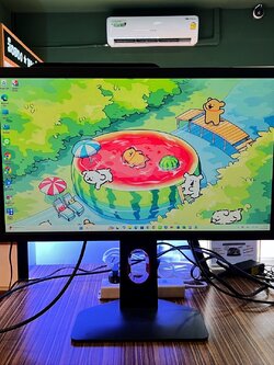 🖤 MONITOR BENQ ZOWIE XL2411K - 24 INCH TN FHD 144Hz 🖤