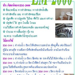 จุลินทรีย์ อีเอ็ม EM ประโยชน์และการนำไปใช้