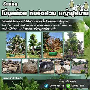 หินจัดสวน โทร 096-8588145 หินธรรมชาติจัดตกแต่งสวน หินกาบ หินทราย หินเกล็ด หินแกรนิต