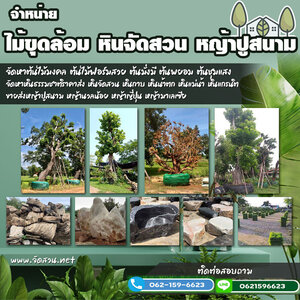 หินเทียม โทร 062-1596623 รับจัดสวน น้ำตกหินเทียม จัดสวนหน้าบ้าน ทำน้ำตก ปูหญ้า จัดสวนหย่อม