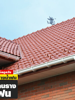 ช่างรางน้ำฝน