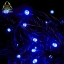ไฟกระพริบ /ไฟไม่กระพริบ LED สายสีดำ 8 ม. 100 LED