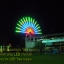 หลอดนีออนสี LED (ไฟนิ่งไม่กระพริบ)