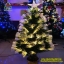 ต้นคริสต์มาส Christmas Tree