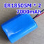 PACK ER18505M x2 + wire