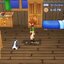 NSW: Harvest Moon The Lost Valley & Skytree Village (US) (EN)