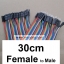 สายแพ (30cm) 40 pin to 40 pin (Female-Male) สาย (2.54mm)