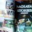 MEGA MONTH Radiata Stories (PS2)