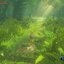 NSW2: The Legend of Zelda Breath of The Wild (Asia) (EN)